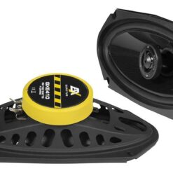 ESX QUANTUM Coax 4x10"
