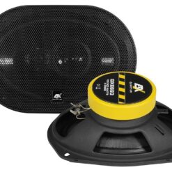 ESX QUANTUM Triax 6x9"