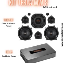 Kit compuesto 2 de Altavoces para Tesla