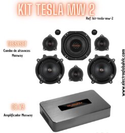 Kit compuesto 2 de Altavoces para Tesla